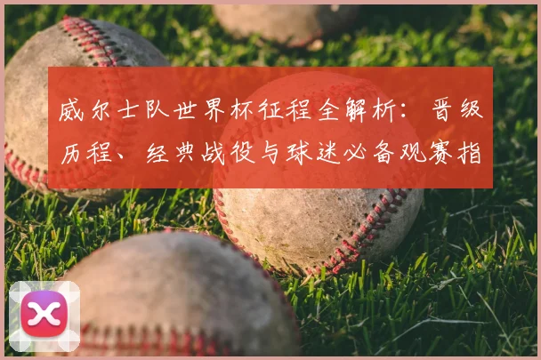 威尔士队世界杯征程全解析：晋级历程、经典战役与球迷必备观赛指南