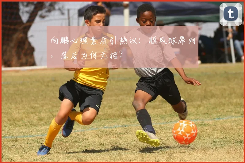 向鹏心理素质引热议：顺风球犀利，落后为何无招？